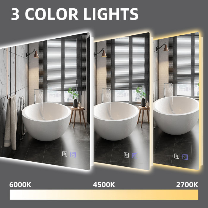 Wrought Studio Avit LED Backlit Frameless Lighted Bathroom/Vanity